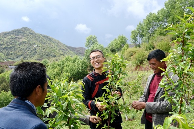 李凱與三河村民一起在冬桃園里一起勞動。 (1).jpg