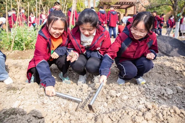 鄞州中學學生在校園農(nóng)場享受種植的樂趣 學校供圖.jpg